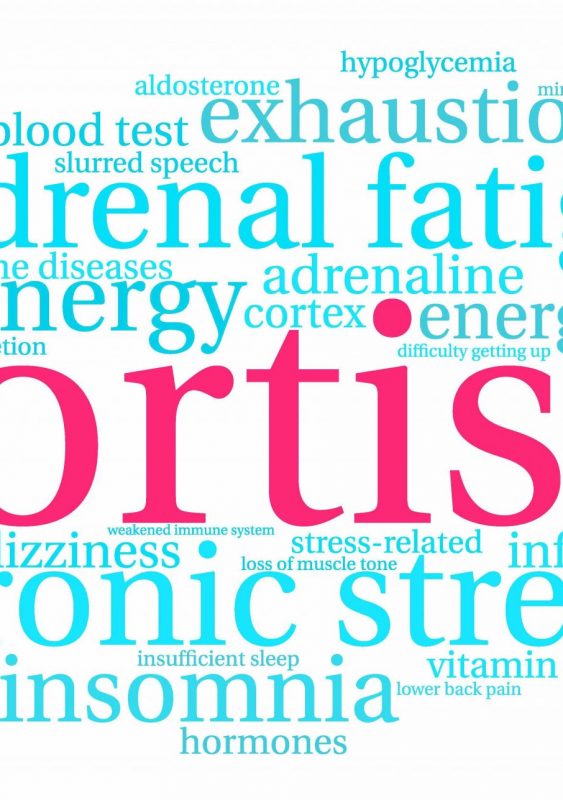 Cortisol