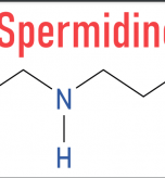 Screenshot 2026-04-05 at 10.04.18 PM