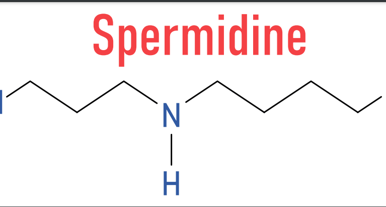 Screenshot 2026-04-05 at 10.04.18 PM